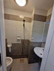 Cavenagh Lodge (D9), Apartment #621780981